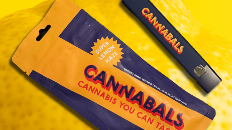 cannibals edible mango