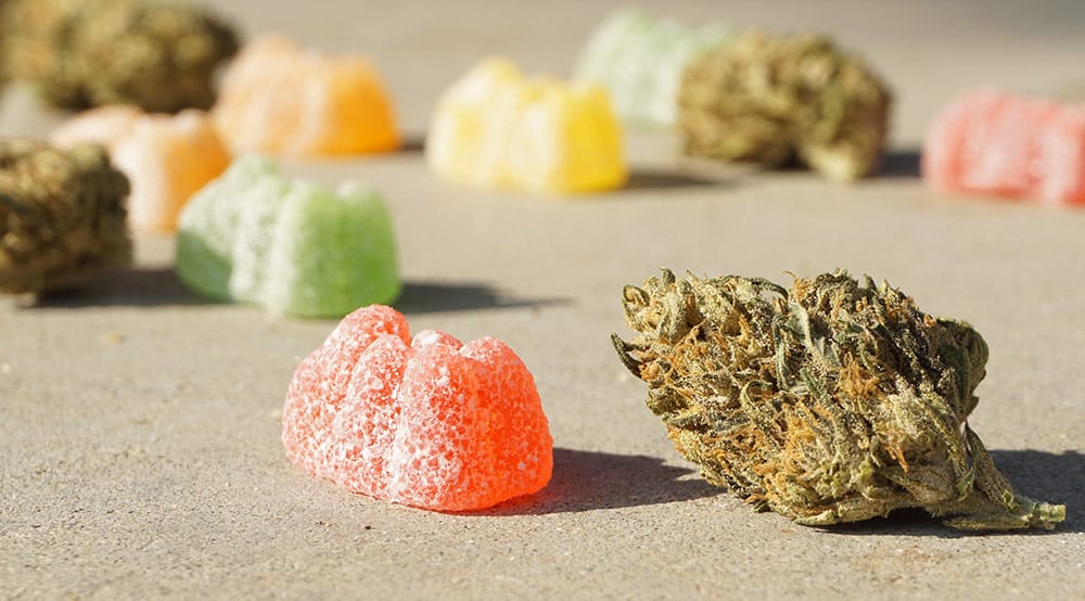 cannabals rolls